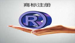 商標(biāo)注冊申請(qǐng) 商標(biāo)注冊申請(qǐng)